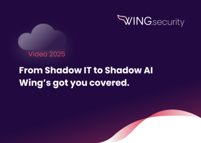 Wing Security Platform Overview